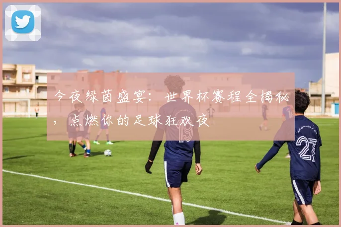 今夜绿茵盛宴:世界杯赛程全揭秘,点燃你的足球狂欢夜