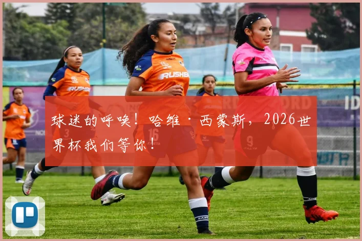 球迷的呼唤！哈维·西蒙斯，2026世界杯我们等你！