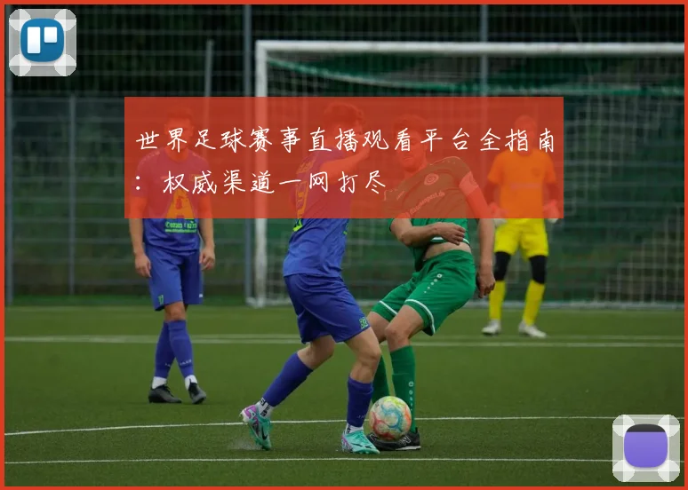 世界足球赛事直播观看平台全指南：权威渠道一网打尽